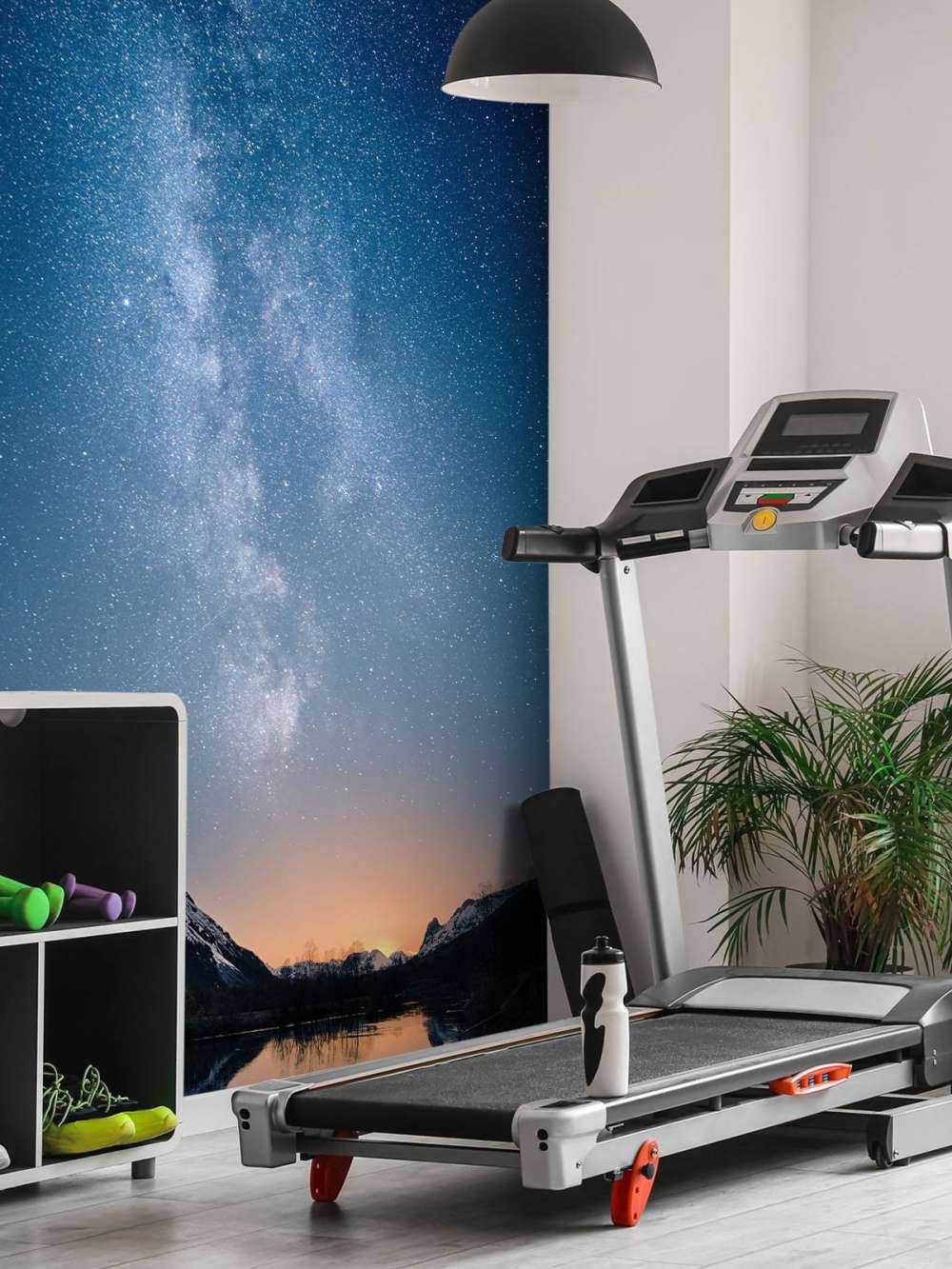 Starry sky in Alaska