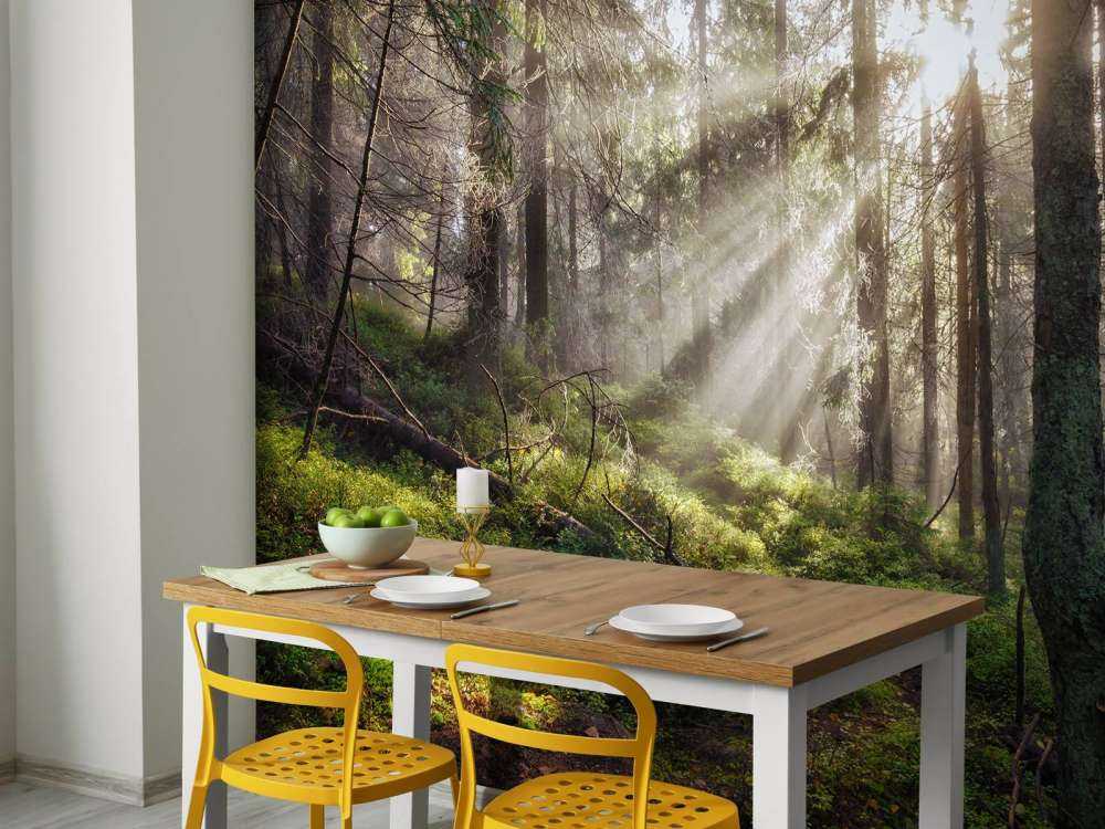 Autumn forest with sunshine