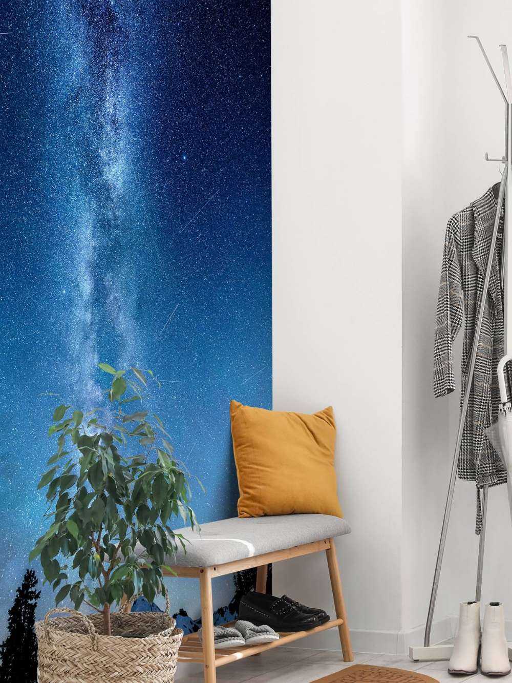 Photo of the Milky Way