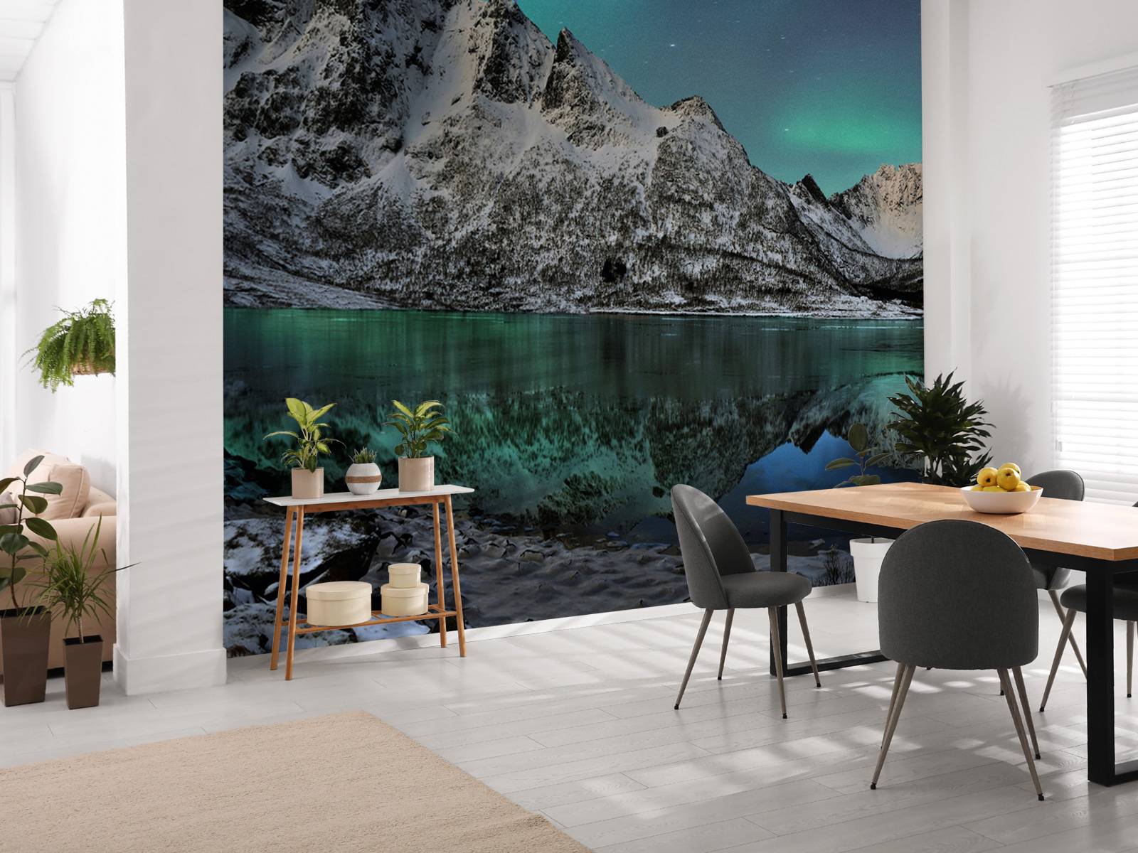 Norway Aurora
