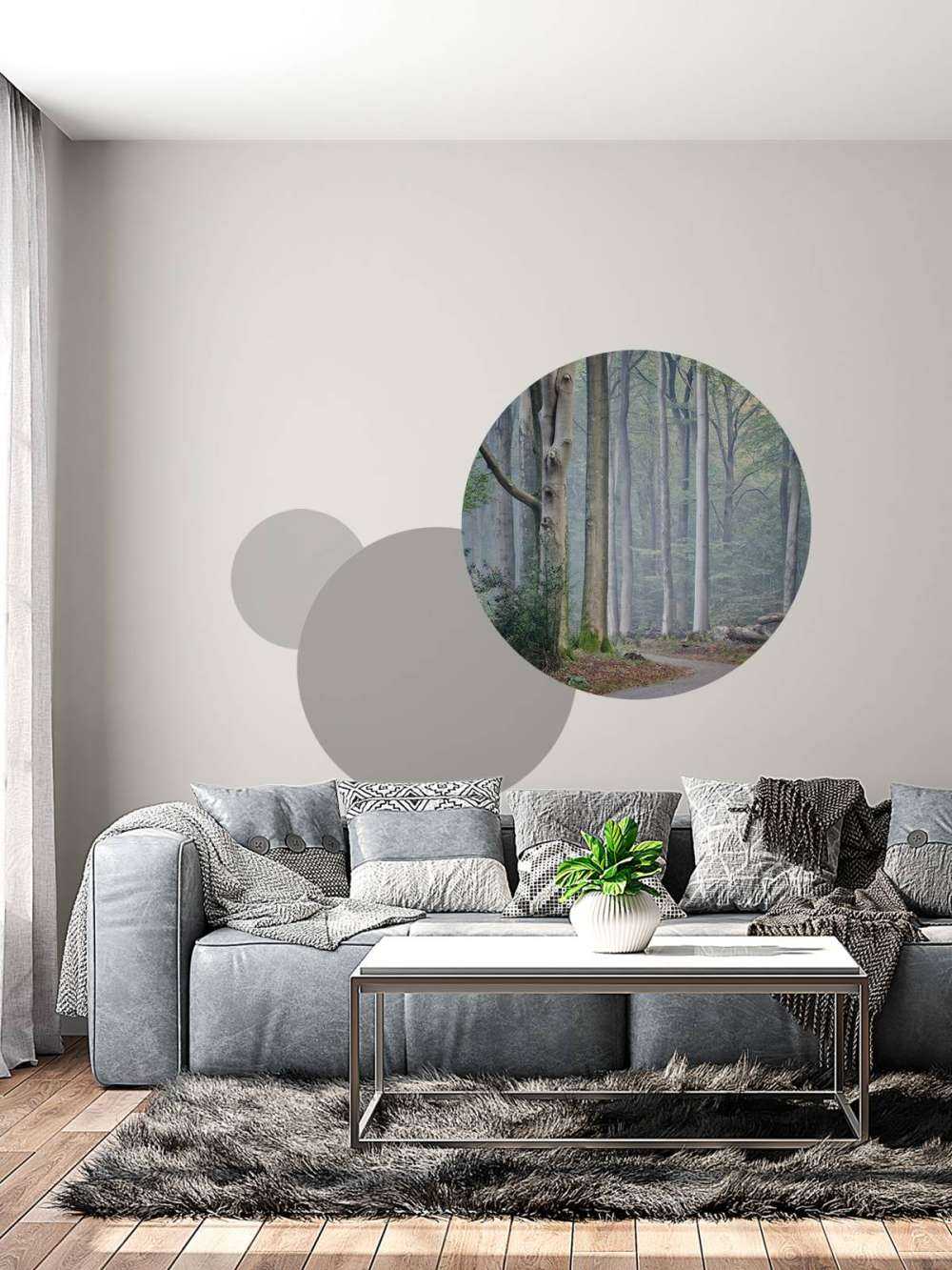 Path through the forest