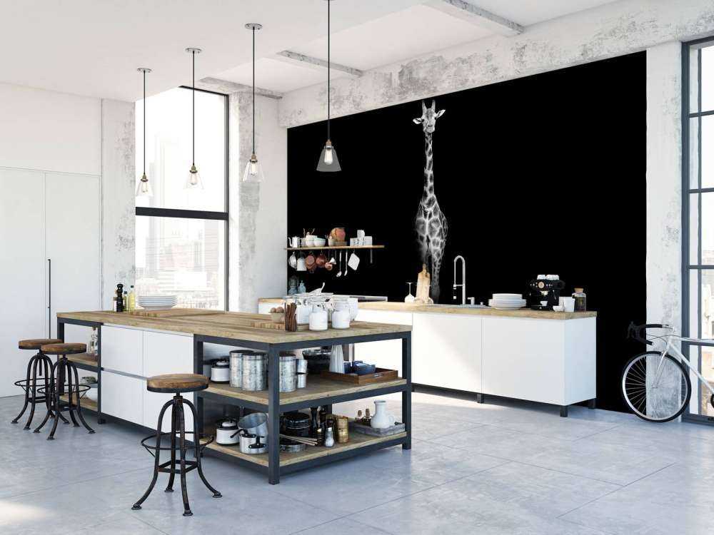 Giraffe black and white