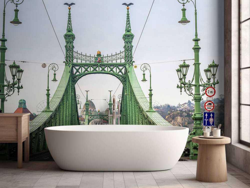 Tram line in Budapest