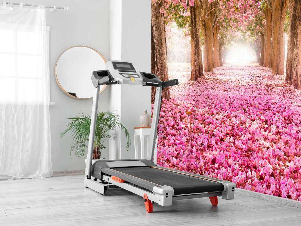 Photo wallpaper blossom