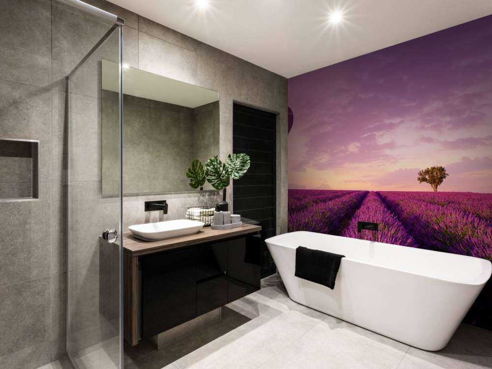 Lavender field and hot air balloon