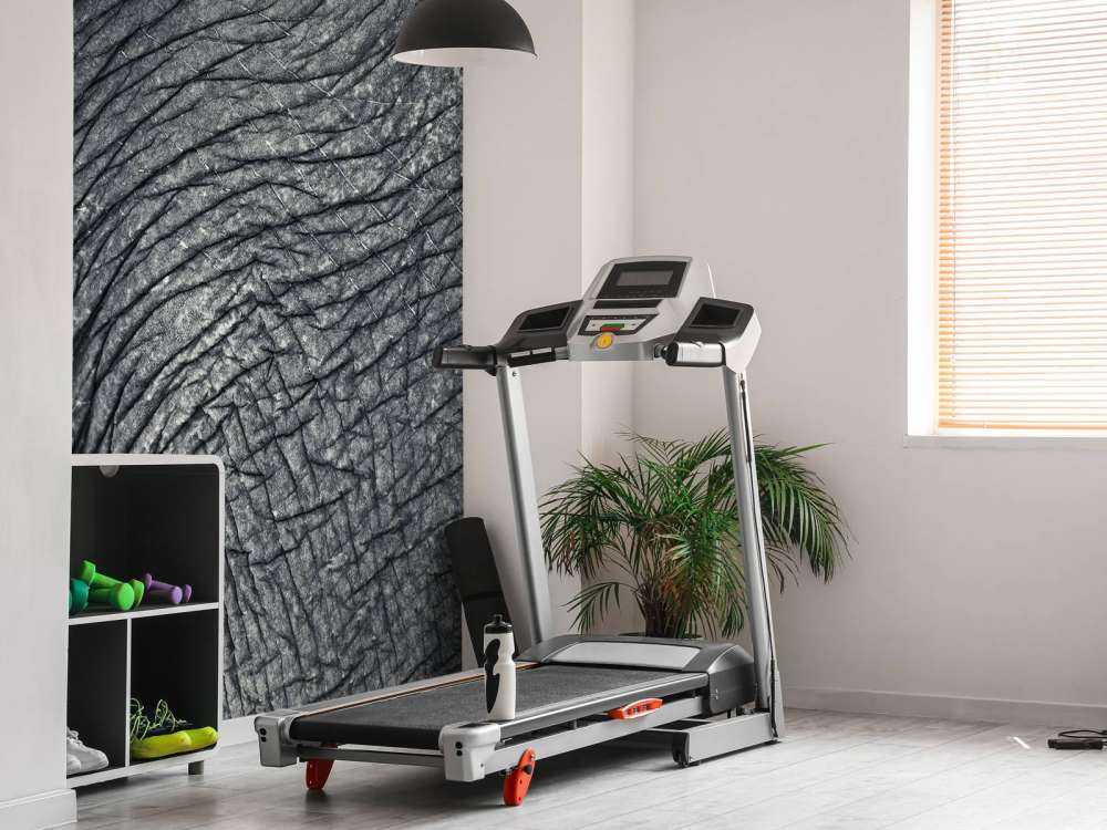 Close-up elephant skin