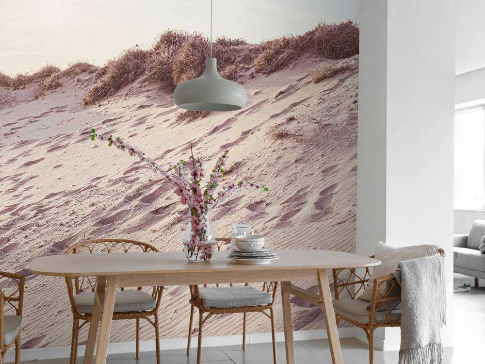 Beach dunes
