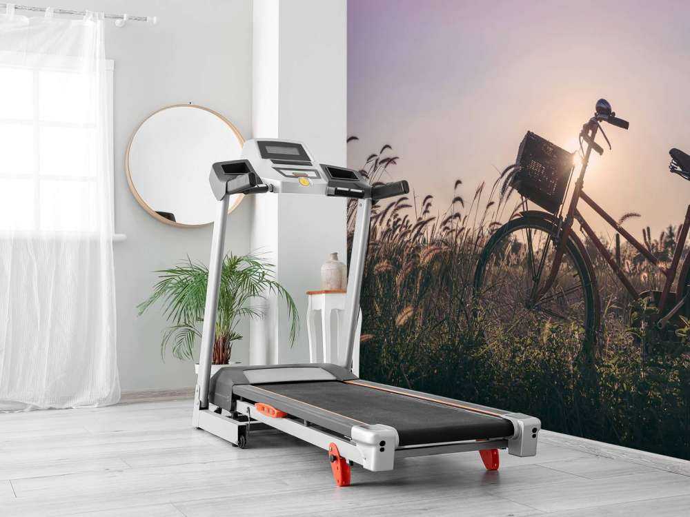Bicycle in a field