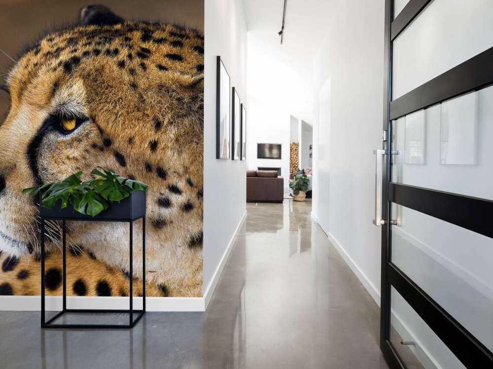 Zij-aanzicht luipaard