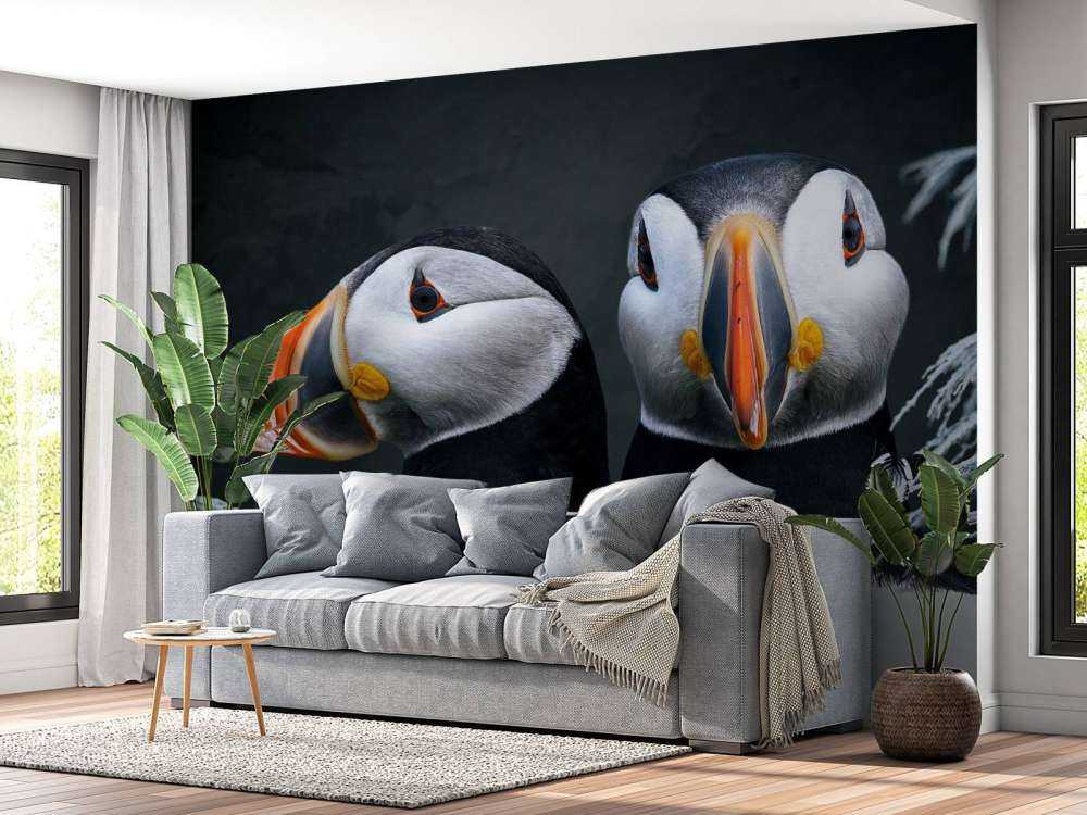 Atlantic Puffins