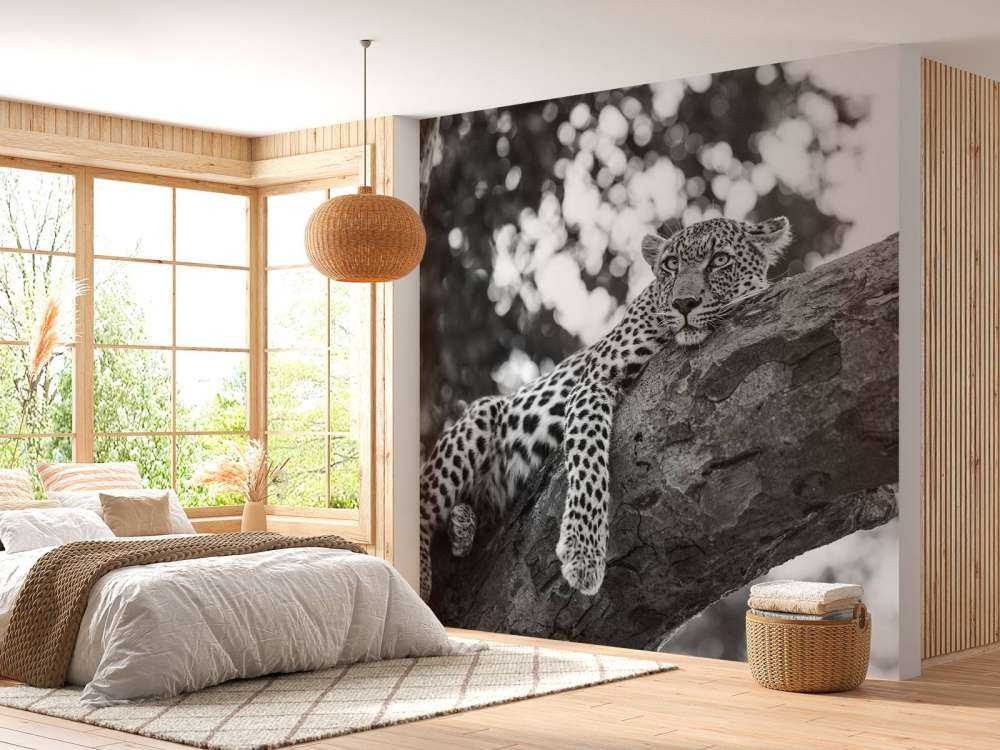 Resting Leopard