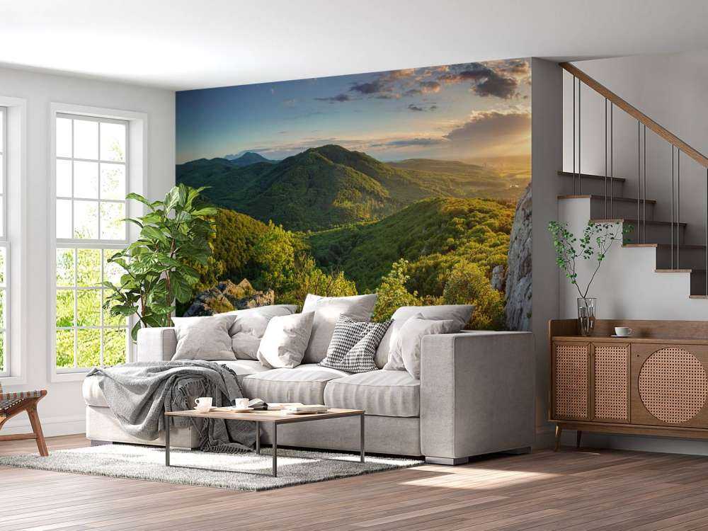 Mountain forest