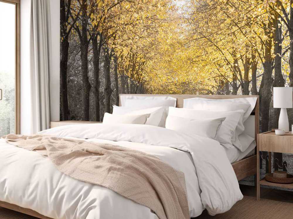 Path through the trees