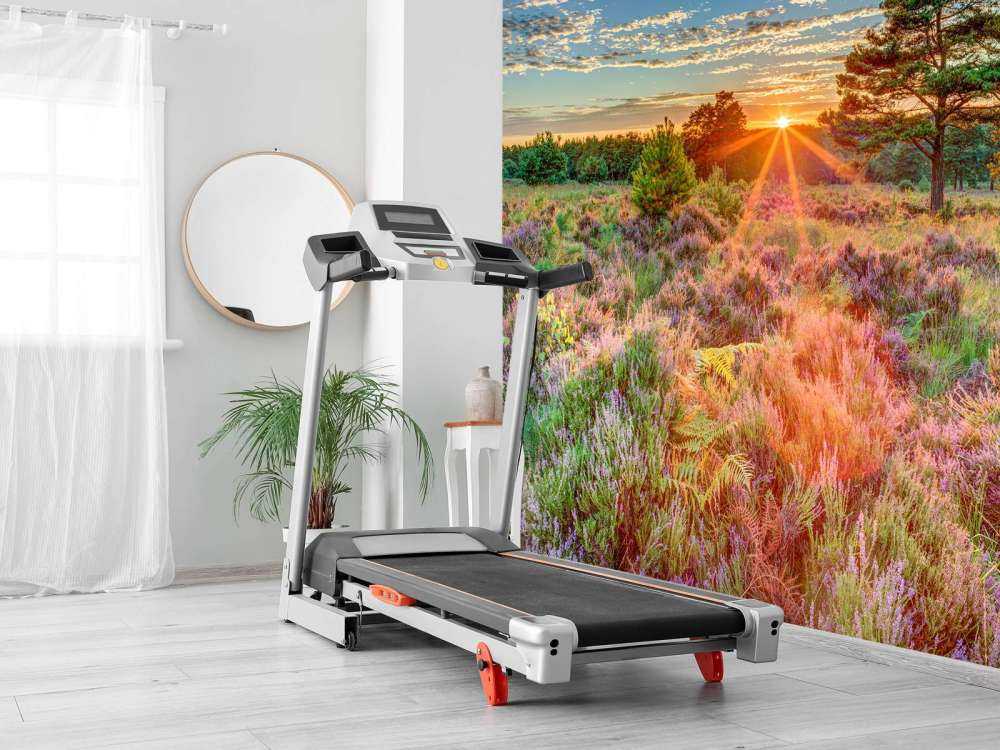 Sunset in the country