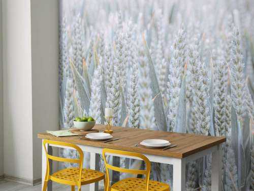 Wheatfield