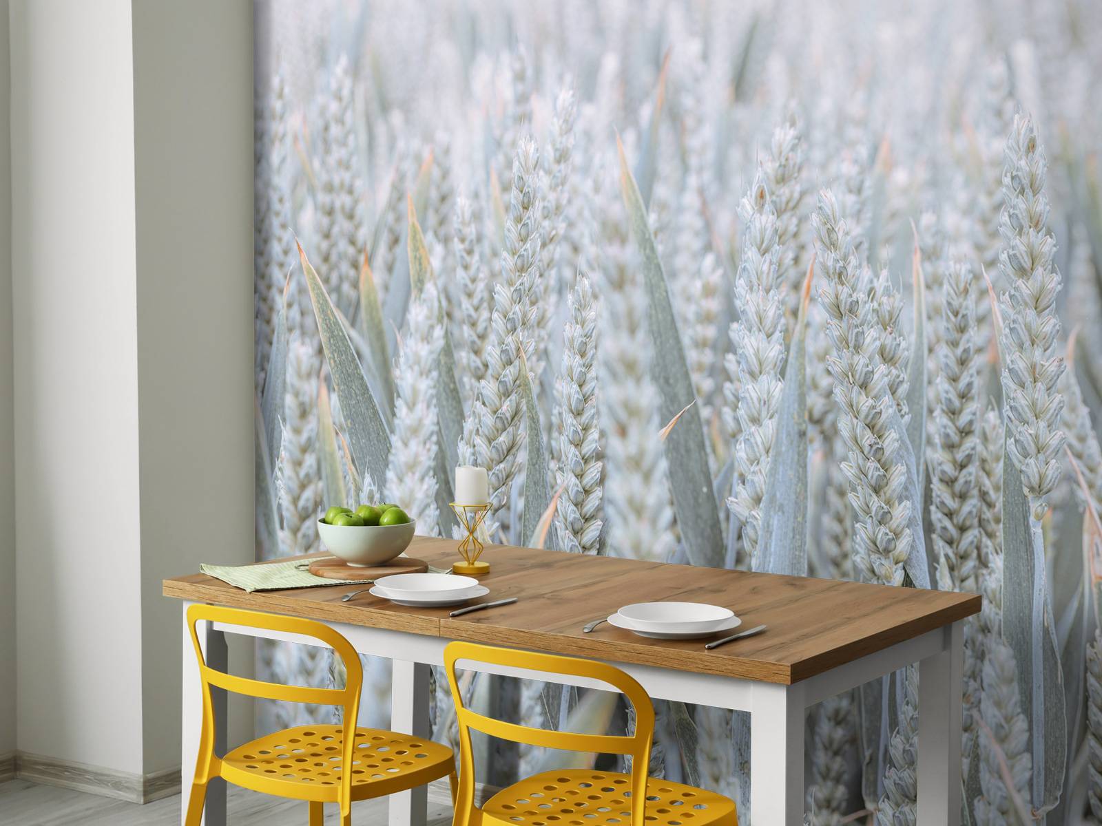 Wheatfield