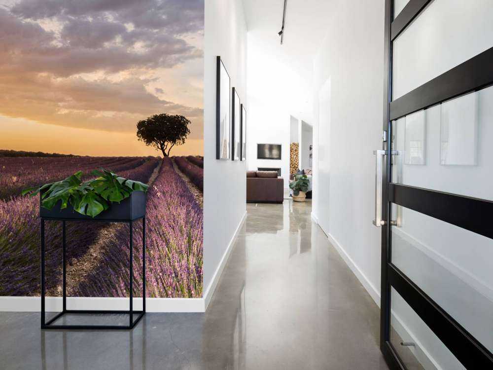 Destination lavender