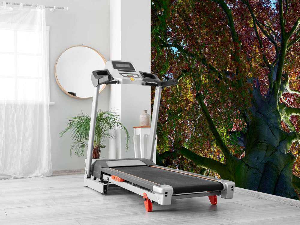 Boom met gekleurde bladeren