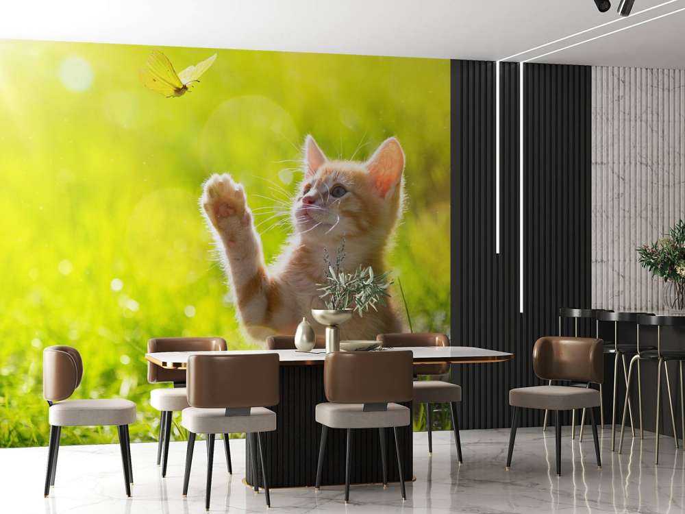 Jonge kat probeert een vlinder te vangen