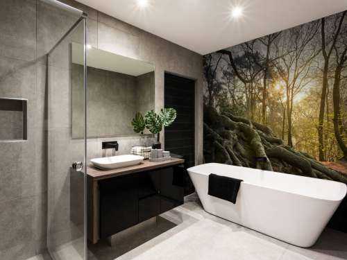 Tree roots above ground