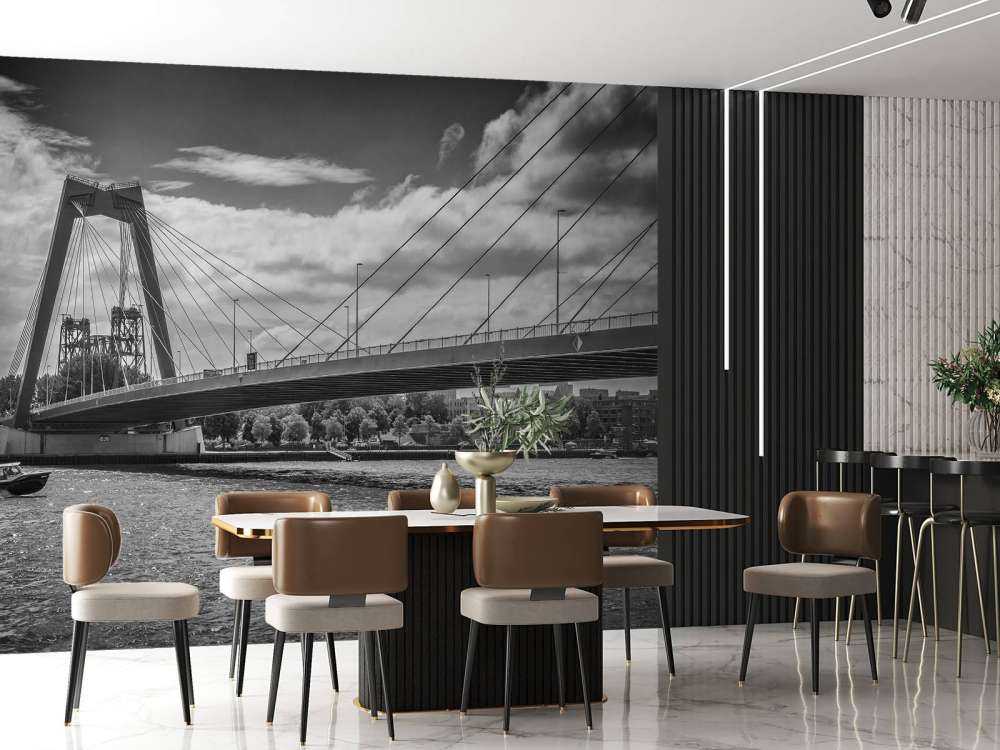 Passing the Prince Willem Alexander Bridge in Rotterdam in black and white  