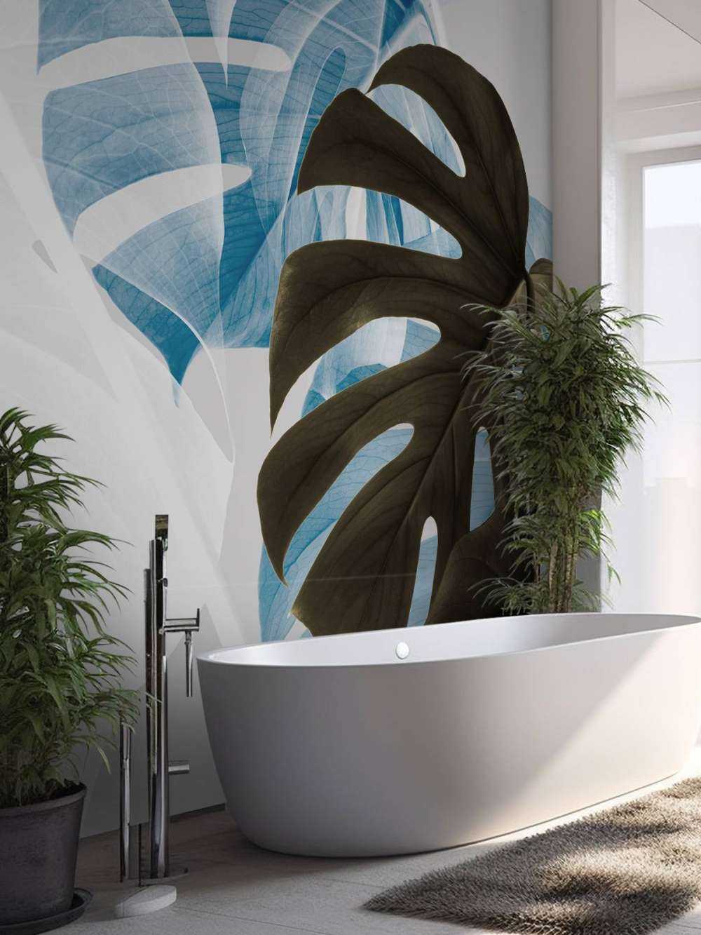 Monstera Creative 02