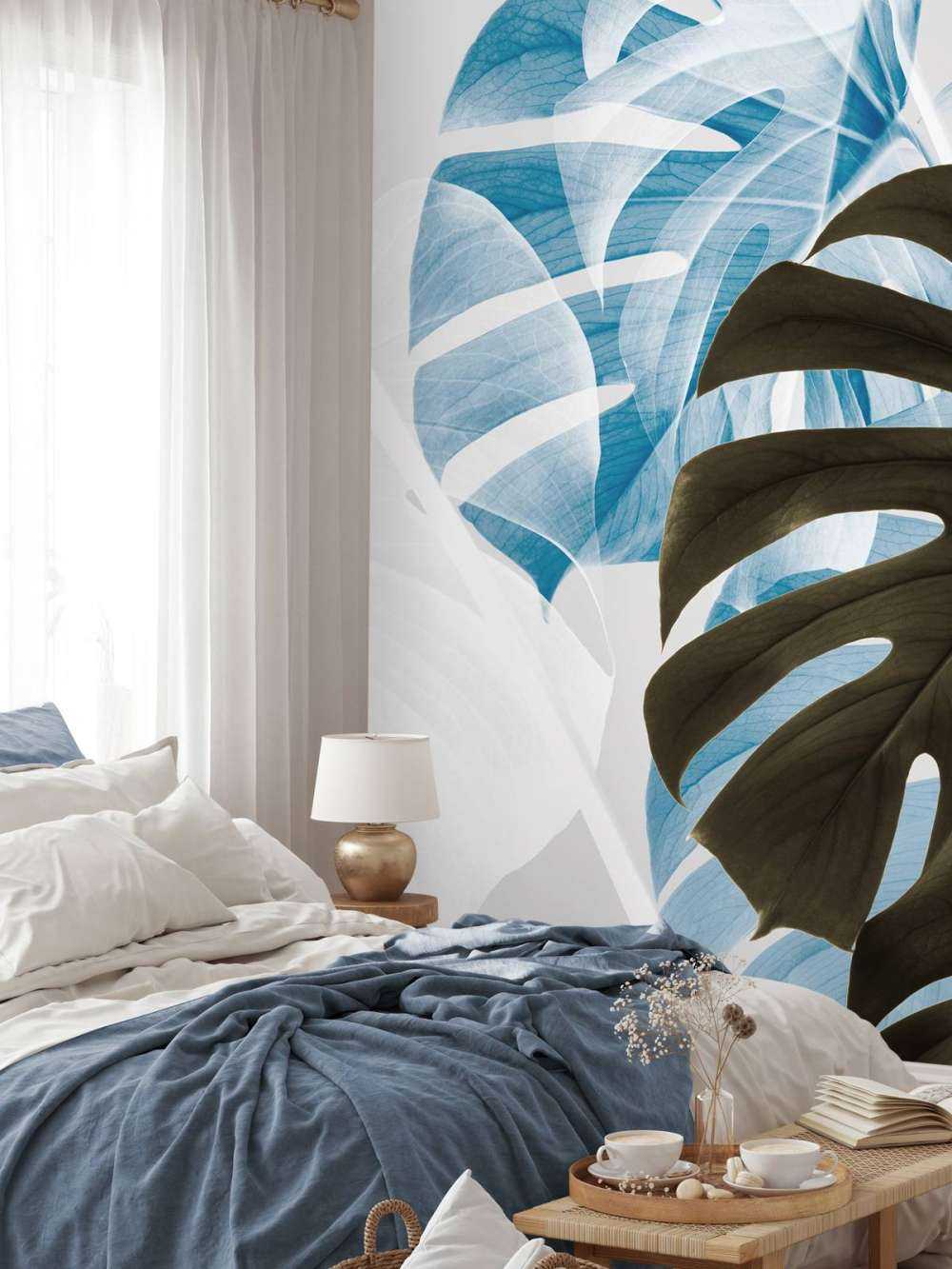 Monstera Creative 02