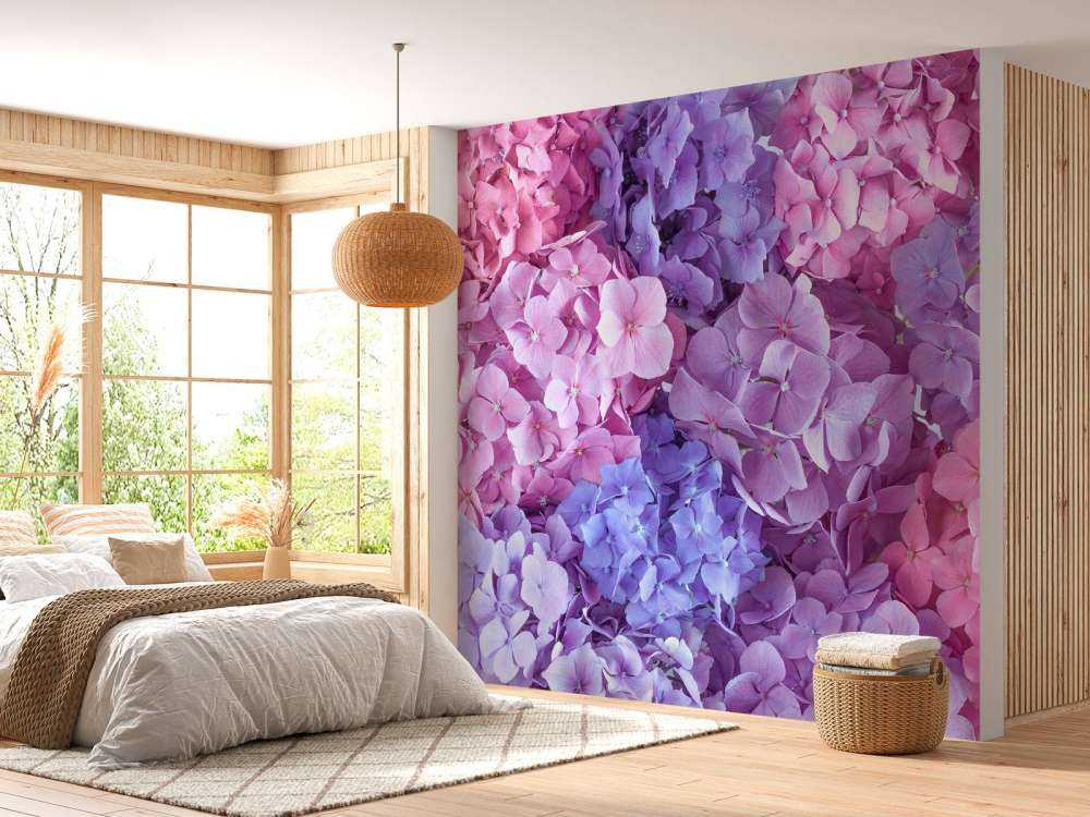 Colorful hydrangeas
