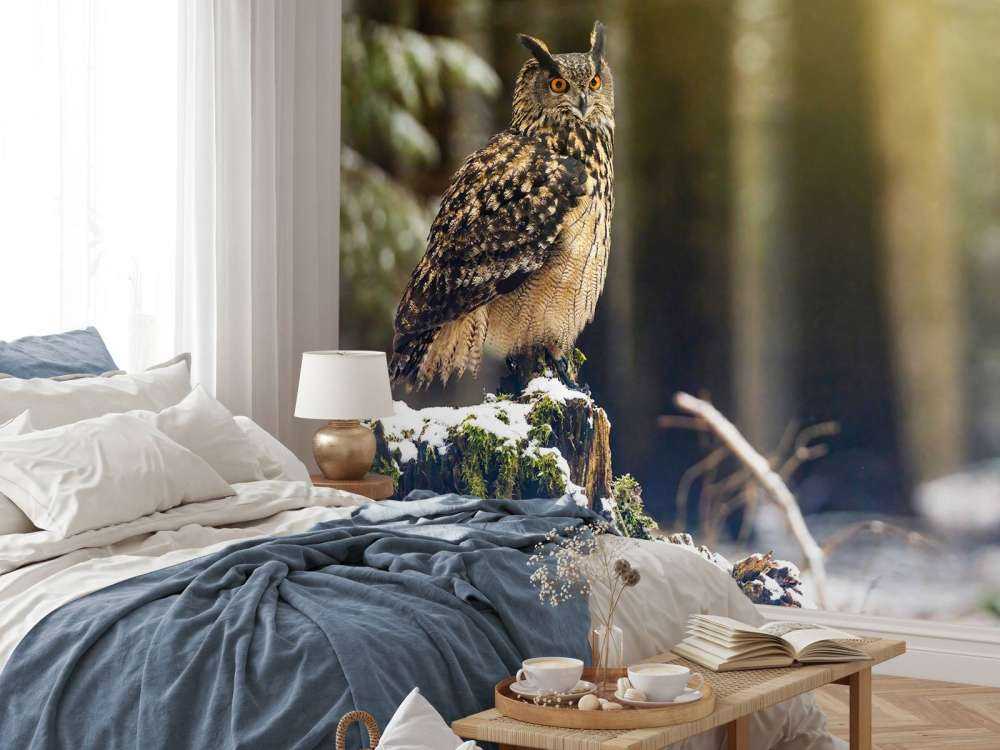 Owl in snowy forest