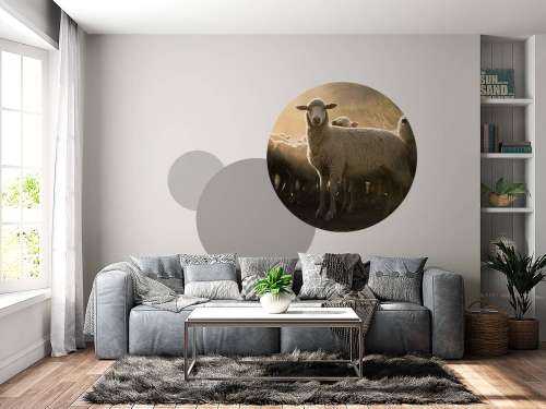 Flock of sheep with golden hour