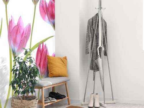 Tulip blush