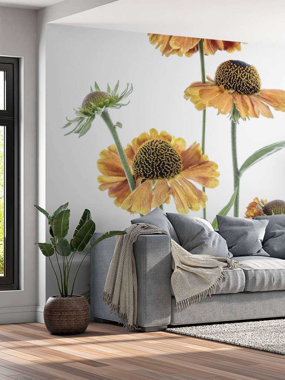 Yellow Helenium