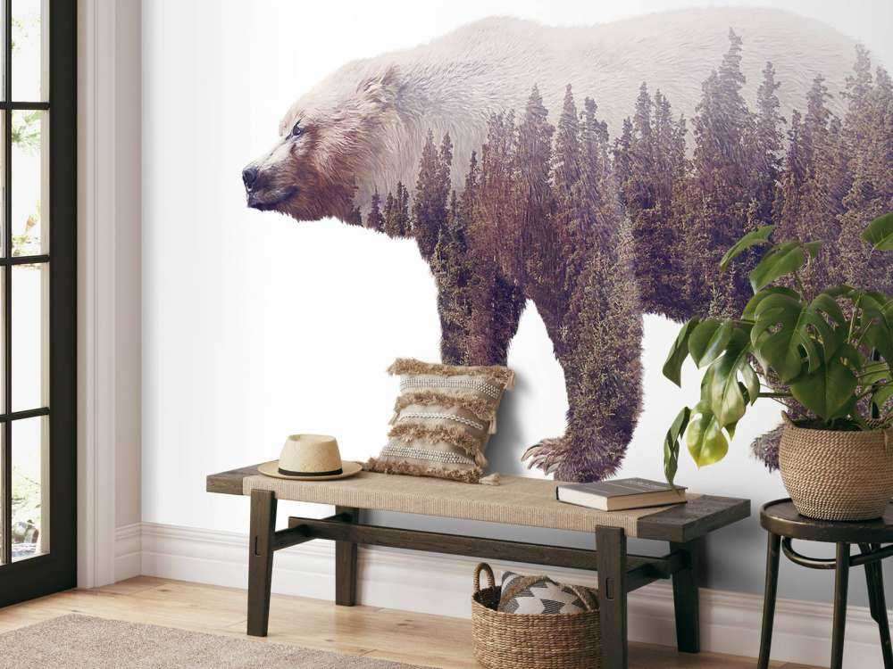 Beer op een wit achtergrond