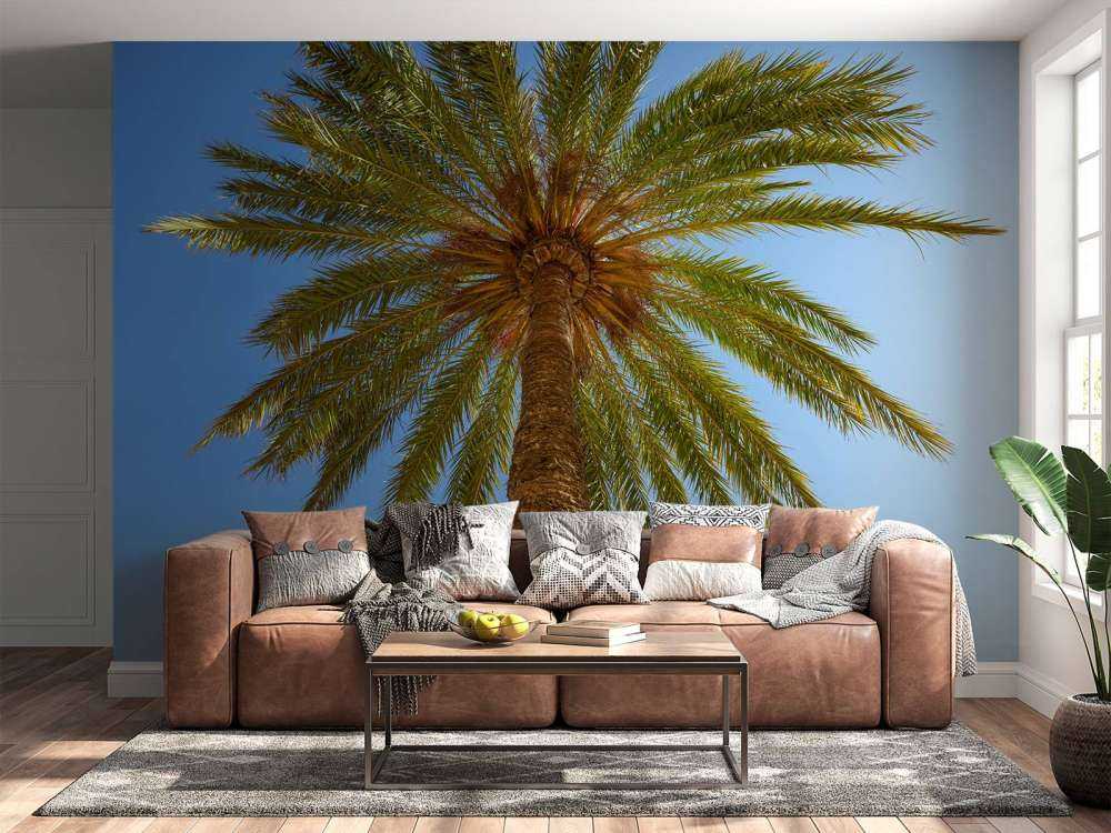 Gedetailleerde Palmboom