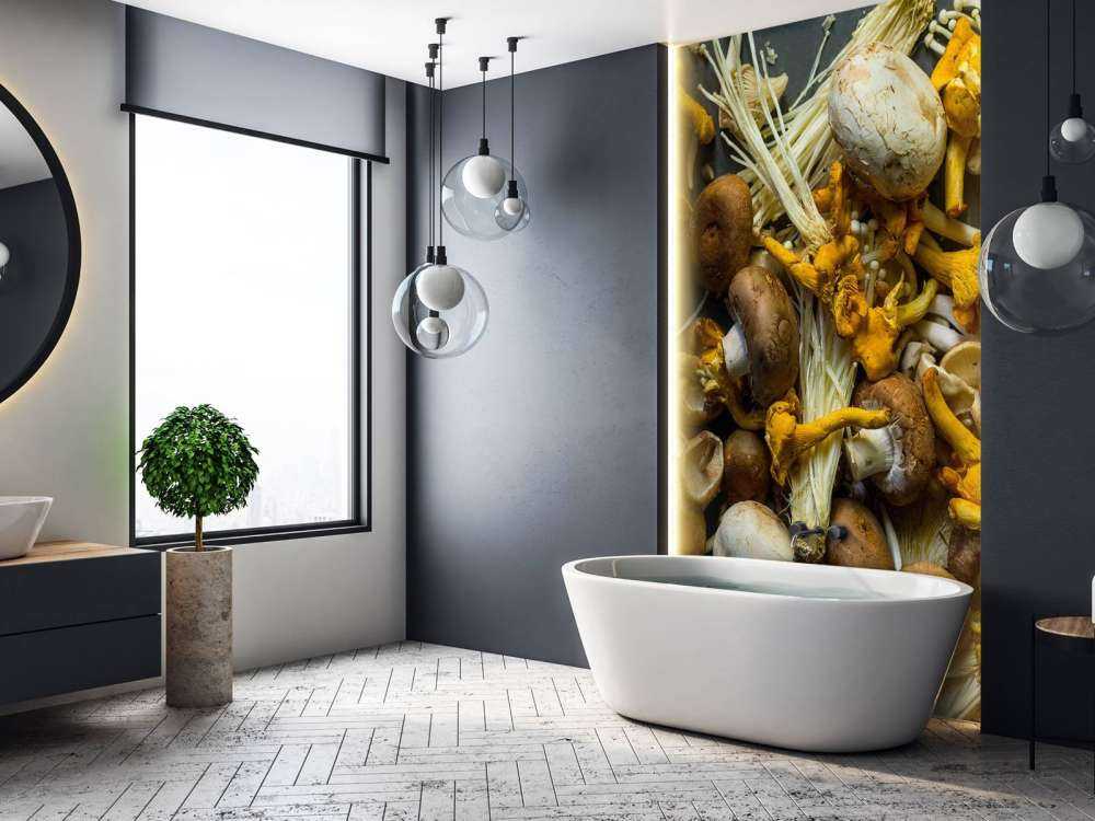 Different mushrooms