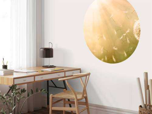 Dandelion in the wind