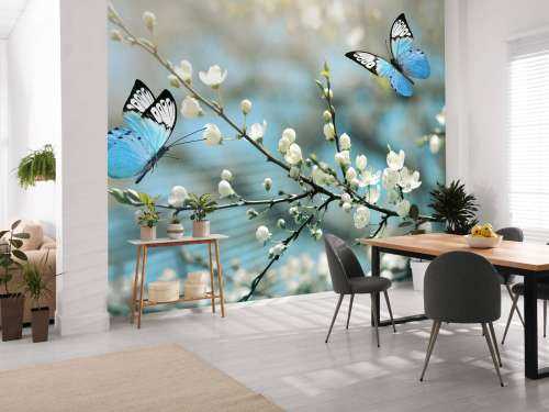 Blue butterflies