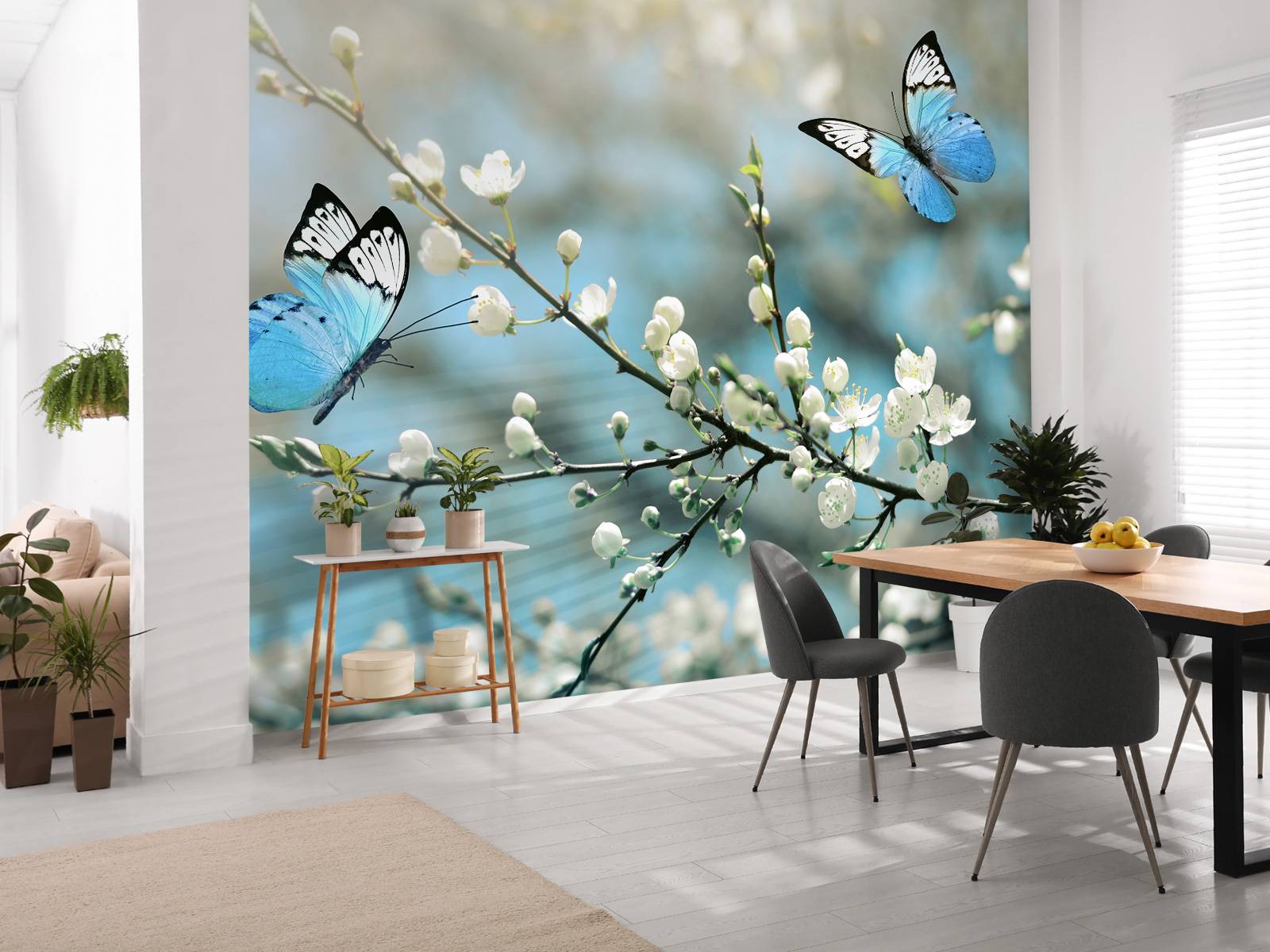 Blue butterflies