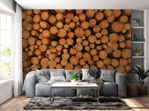 Pile of dark tree trunks