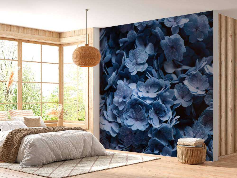 Close-up hydrangeas