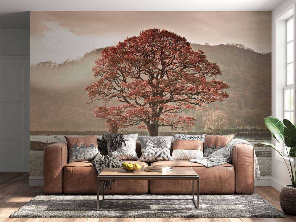 Oak tree in winter
