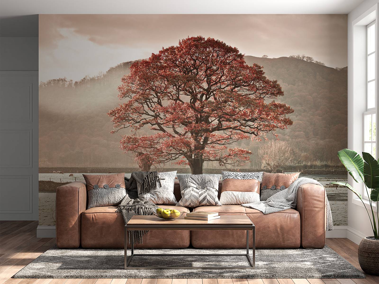 Oak tree in winter