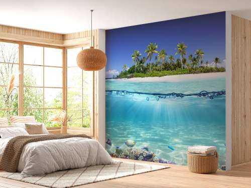 Tropical island and coral reef