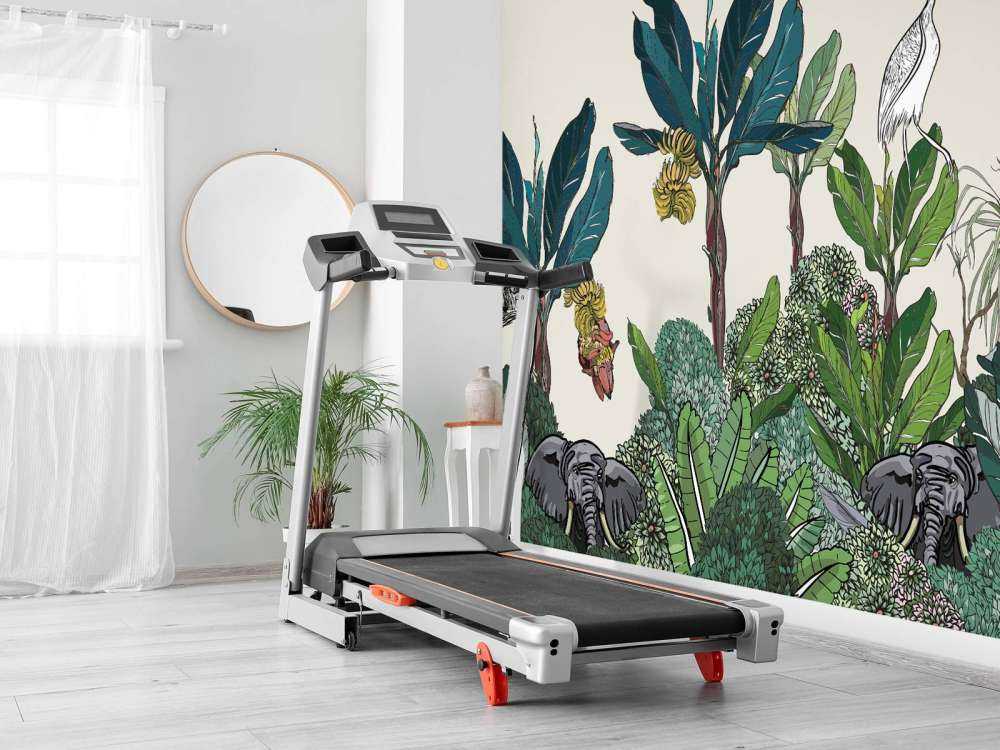 Jungle panorama with animals