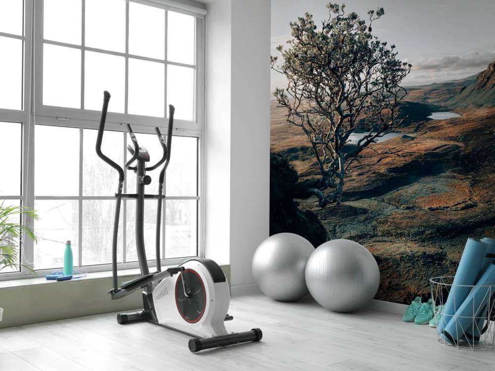 The beginning of the day