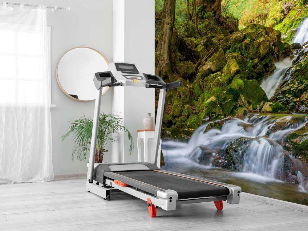 Waterfall in the middle of the forest