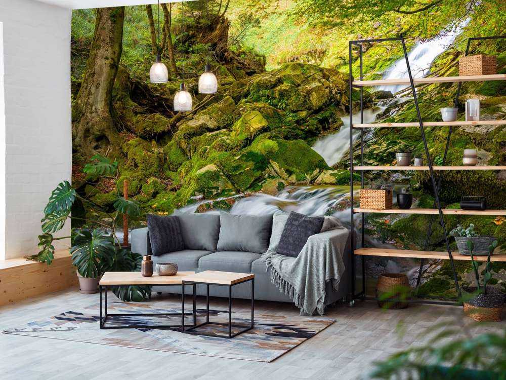 Waterfall in the middle of the forest