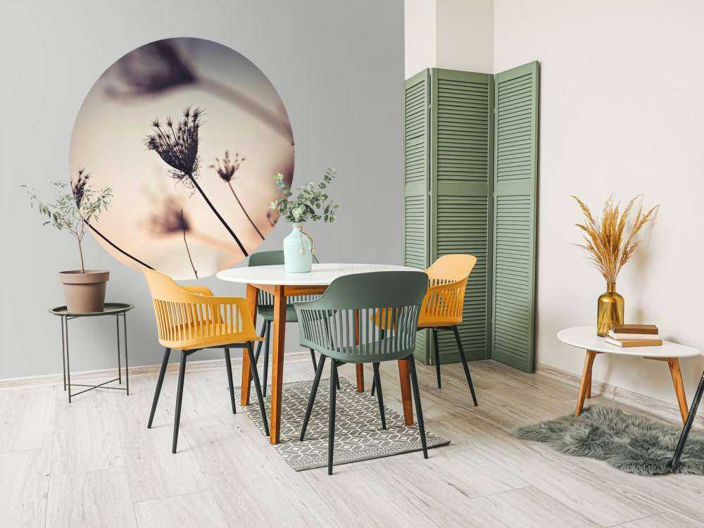 Silhouettes of plants