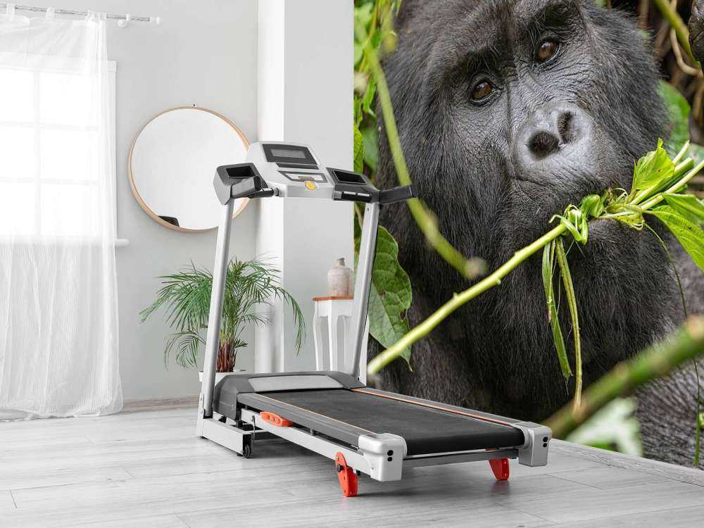 Gorilla between the branches