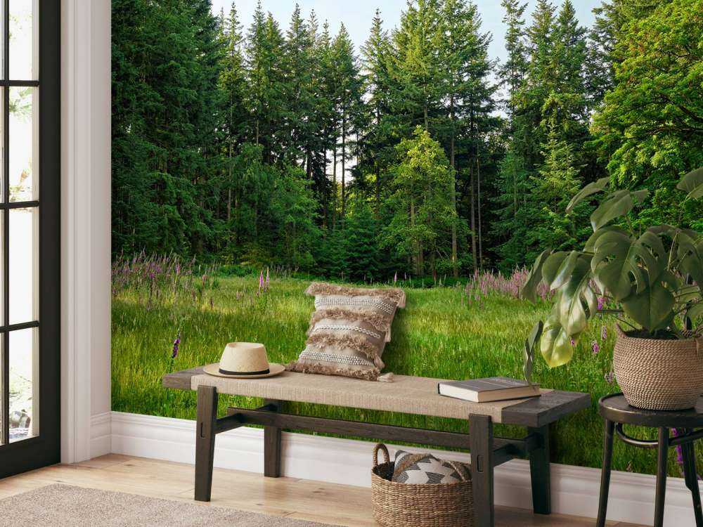 Open space in the forest 